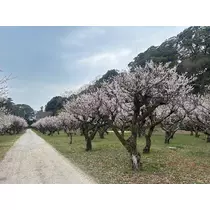 あい