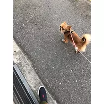 ユカ
