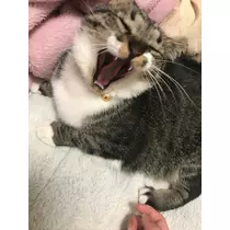さあや
