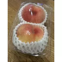 白石 愛莉
