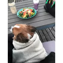 あいら