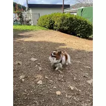 あいら