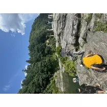 まほ
