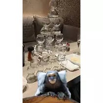 七星 夏純