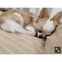 ありさ♡