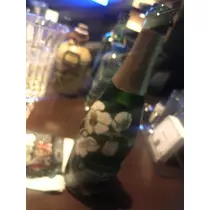 椿 はるな