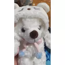 ミイ