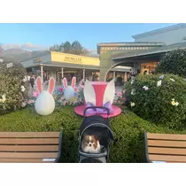 あいら