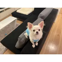 北の関まほの海