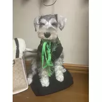 天月 あすな