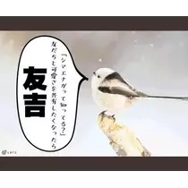 ひな