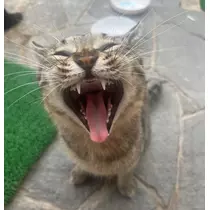 らら