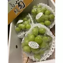 香川 ゆい