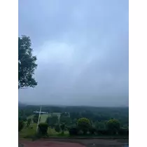 紬 むぎ