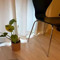 七海 結愛