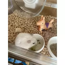 えみり