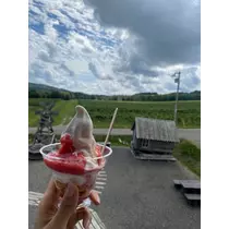 西園寺 ゆきみ