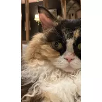 さち