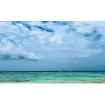 ゆかり
