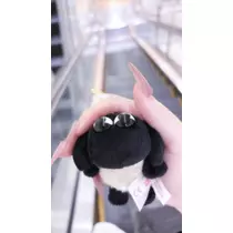 蕾夢