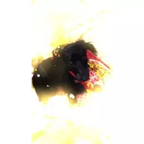 りえ