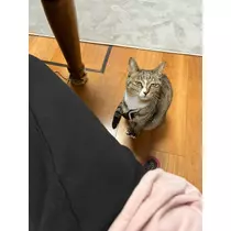 花音