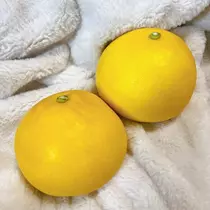 あん