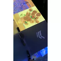 華宮 れい