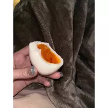 西蓮寺 ひかる