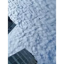 咲良 水月