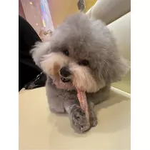 うづき ふうか