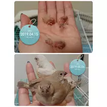 ちよママ