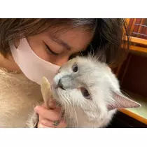 ねね