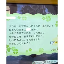 緑 四葉