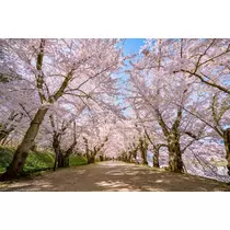 花美人スタッフ