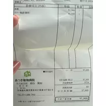 妃 えりな