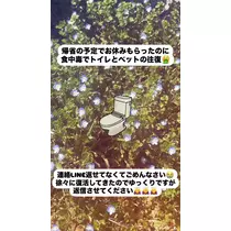 はづき