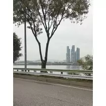 緑 四葉
