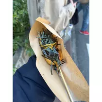 かびるんるんさわ