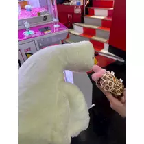 かびるんるんさわ