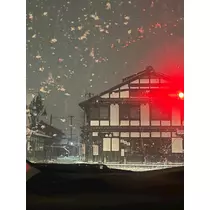 花音