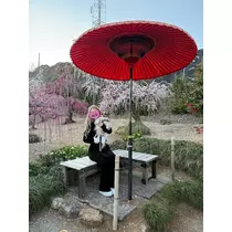 あいら