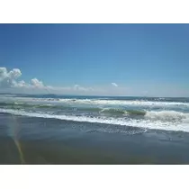 水瀬 愛理