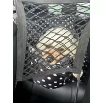 神楽 ゆあ