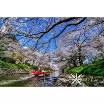 神崎　唯
