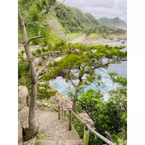 ゆかり