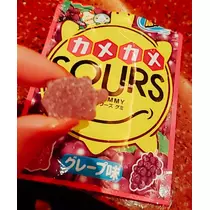 紫音