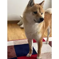 天乃 りさ