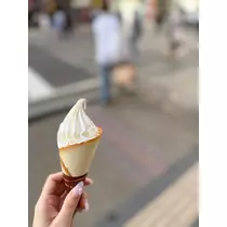 夏目 かんな
