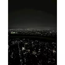 せいか